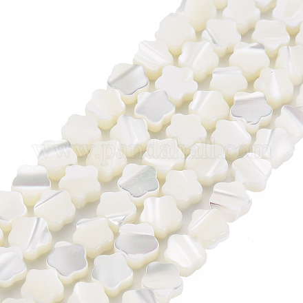 Fili di perle di conchiglia trochid naturale / trochus SSHEL-T014-43A-01-1
