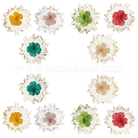 Sunnyclue 12pcs 6 Farben transparent klar Epoxidharz Cabochons CRES-SC0001-89-1