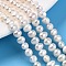 Natural Cultured Freshwater Pearl Beads Strands, Two Sides Polished, Creamy White, 5~6x4.5~5x4.5~7mm, Hole: 0.6mm, about 66~67pcs/strand, 13.58~13.78''(34.5~35cm)