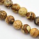 Faceted Round Natural Picture Jasper Beads Strands G-E302-089-6mm-1