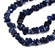 Natural Sodalite Beads Strands G-S364-080-3