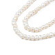 Natural Cultured Freshwater Pearl Beads Strands PEAR-N013-02B-3