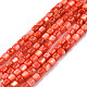 Natural Freshwater Shell Beads Strands SHEL-N003-33-A06-1