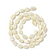 Natural Trochid Shell/Trochus Shell Beads Strands SHEL-F004-14-2