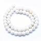 Frosted Natural Howlite Beads Strands TURQ-G148-10-8mm-2