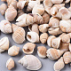 Natural Spiral Shell Beads SSHEL-S258-77-1