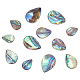 Hobbiesay 12 pièces 3 styles coquille d'ormeau naturelle/perles de coquille de paua SHEL-HY0001-02-1