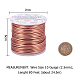 BENECREAT 10 Gauge Jewelry Craft Aluminum Wire 80 Feet Bendable Metal Sculpting Wire for Craft Floral Model Skeleton Making (Copper AW-BC0001-2.5mm-04-2