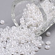 Perles de rocaille en verre SEED-A011-3mm-141-1