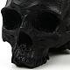 Halloween Resin Skull Figurines PW-WG47008-01-4