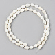 Natural Freshwater Shell Beads Strands X-SSHEL-R048-007B-2
