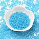 8/0 Glass Seed Beads X-SEED-A016-3mm-211-2