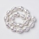 Chapelets de perles de coquille BSHE-O018-03-1