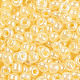 Perles de rocaille en verre SEED-A011-2mm-142-3