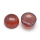 Natural Carnelian Cabochons G-P393-R03-10mm-2