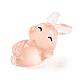 蓄光樹脂ウサギの飾り  暗闇で光る  マイクロランドスケープガーデン装飾  ライトサーモン  23x37x17mm DJEW-R011-02B-1