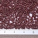 MIYUKI Round Rocailles Beads SEED-JP0008-RR0309-4