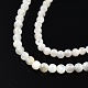 Brins de perles de coquillage blanc naturel SSHEL-N003-144A-01-3