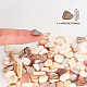 Natural Shell Beads SSHEL-FG0001-02-2
