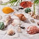 Chgcraft sobre 129g cuentas de concha de mar cuentas de concha de cauri encantos de cuentas de concha natural para hacer joyas SSHEL-PH0002-10-7