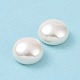 Shell Pearl Half Drilled Beads BSHE-G011-01-10mm-6