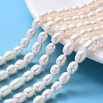 Natural Cultured Freshwater Pearl Beads Strands, Rice, Seashell Color, 7~9x6~7mm, Hole: 0.7mm, about 20~23pcs/Strand, 7.48 inch(19cm)