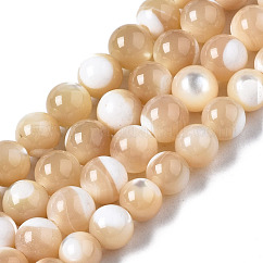 Hebras naturales de concha de troco / concha de troco, redondo, burlywood, 5mm, agujero: 1 mm, aproximamente 84~85 pcs / cadena, 15.55 pulgada (39.5 cm)