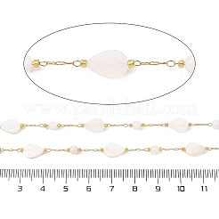 Ionenplattierung (IP) 304 Edelstahl-Büroklammerketten&nbsp;CHS-P018-20G