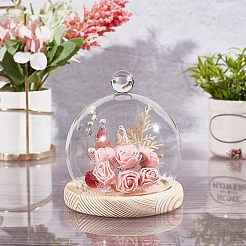Couvercle de dôme en verre&nbsp;ODIS-WH0002-25