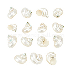 15 Stück Mini-Perlen aus natürlicher Spiralmuschel&nbsp;FIND-PH0026-80