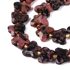 Perline Rhodonite naturale fili&nbsp;G-N371-10A-05