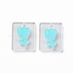 Colgantes de acetato de celulosa (resina)&nbsp;KY-N015-73