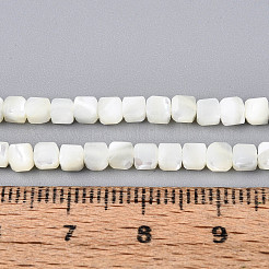 Natürliche Trochidschale / Trochusschalenperlenstränge&nbsp;SSHEL-N041-04B-01