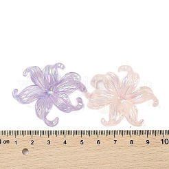 Transparentes bouchons acrylique de perles&nbsp;X-DIY-B073-08