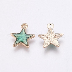 Legierung Emaille Anhänger / charms&nbsp;X-ENAM-O027-04C