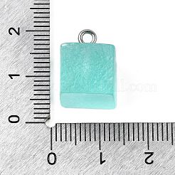 Pendentifs en résine&nbsp;LS-FIND-U031-11C-P