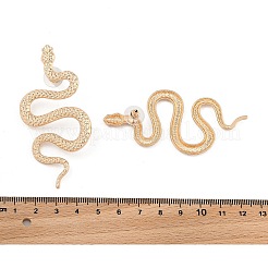 Orecchini in lega&nbsp;EJEW-R021-03KCG-03