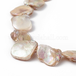 Hebras de cuentas de concha de agua dulce natural chapadas en color ab&nbsp;BSHE-G033-03B
