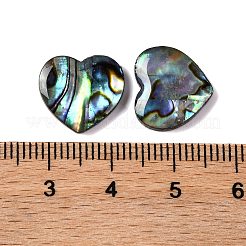 Natürliche Paua-Muschel-Epoxidharz-Cabochons&nbsp;SSHEL-S279-01D