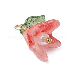 Manuelle Bunte Malerei Anhänger & Charms&nbsp;PALLOY-TA00184