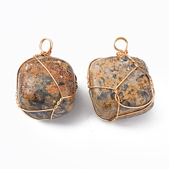 Colgantes de jaspe de piel de leopardo natural&nbsp;G-N332-50-02