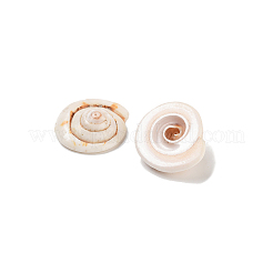 Natürliche Shiva Eye Shell Perlen&nbsp;BSHE-S090