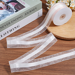Ruban de polyester&nbsp;OCOR-WH20013-005D