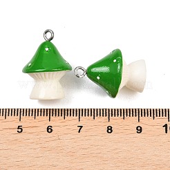Undurchsichtige Harzanhänger&nbsp;RESI-XCP0002-40A