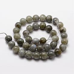 Labradorite naturale fili di perline&nbsp;G-O155-05B-10mm