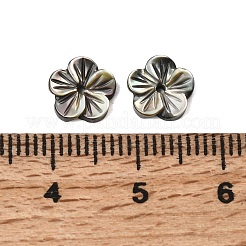Natürliche schwarze Lippenmuschel geschnitzte Perlen&nbsp;SHEL-A006-11A
