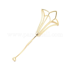 Messing Anhänger & Charms&nbsp;LS-KK-A238-04G