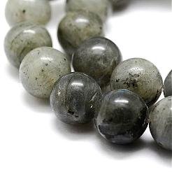 Labradorite naturale fili di perline&nbsp;G-P256-01-10mm
