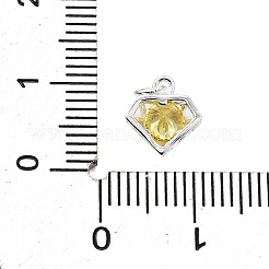 Charms de plata de ley s925 con circonitas cúbicas&nbsp;STER-Q006-05A-S