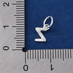 925 breloque lettre en argent sterling&nbsp;LS-STER-C012-01S-Z